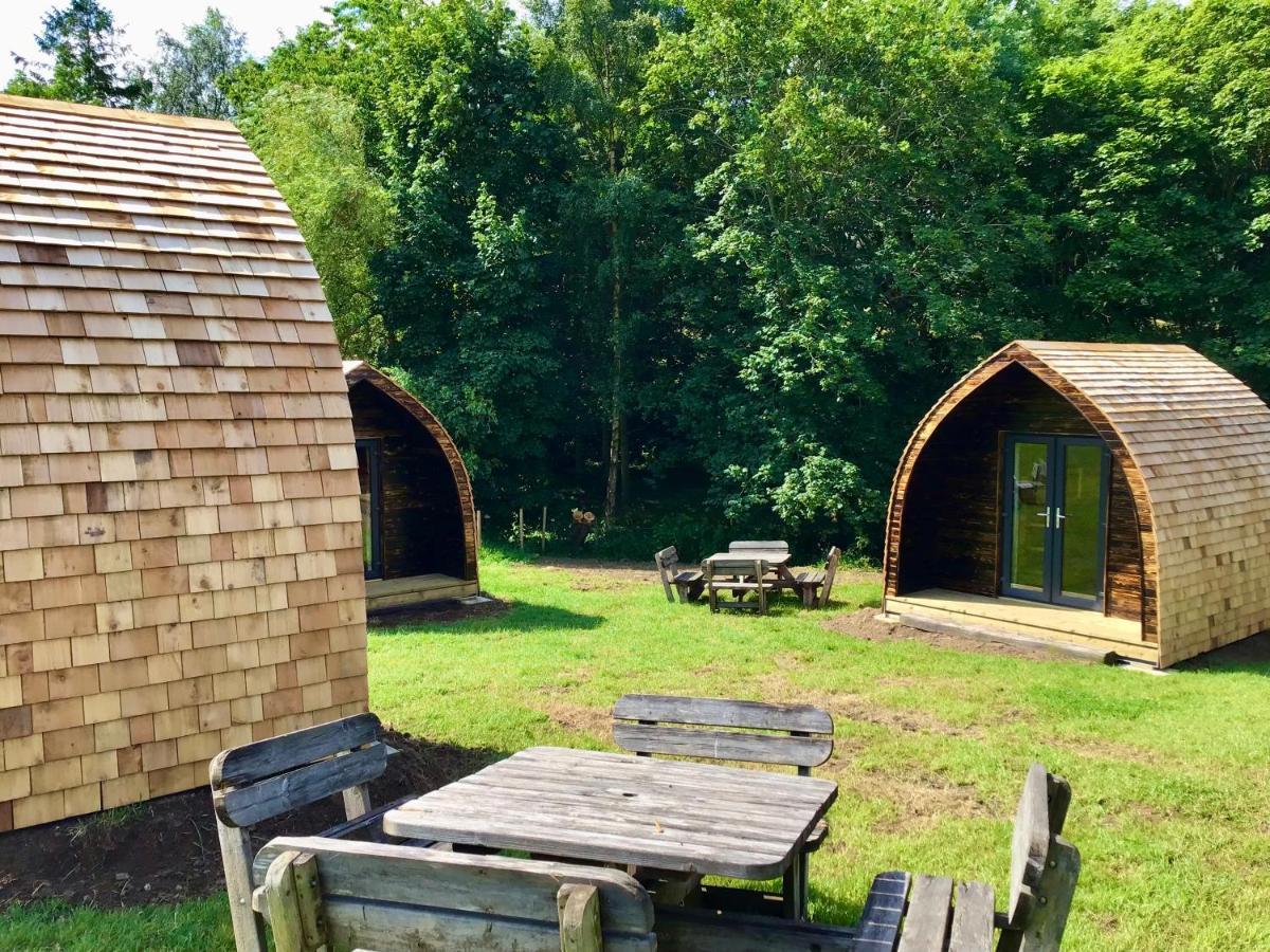 Alder Pod, Clay Bank Huts Ingleby Greenhow Exterior foto