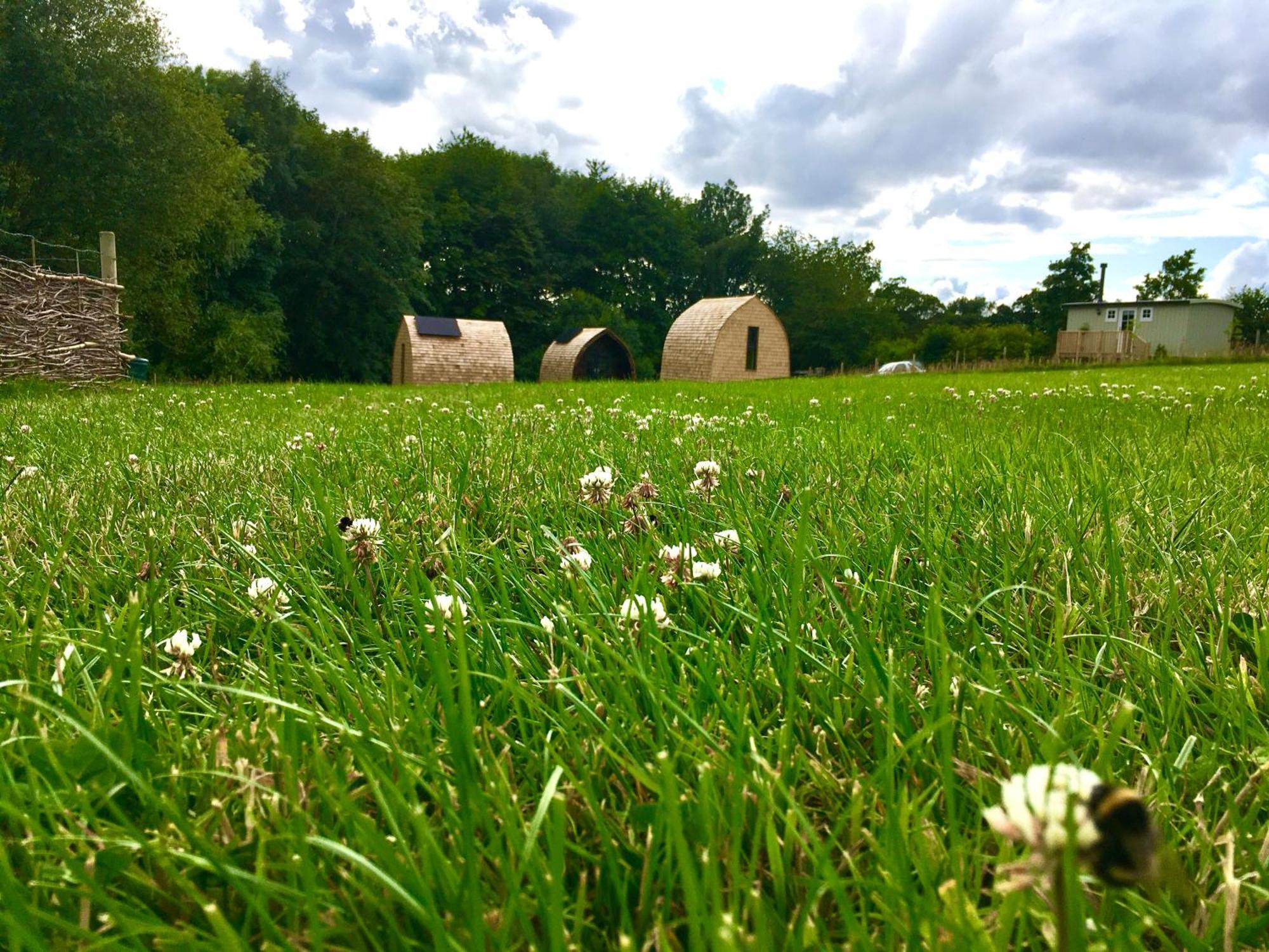 Alder Pod, Clay Bank Huts Ingleby Greenhow Exterior foto